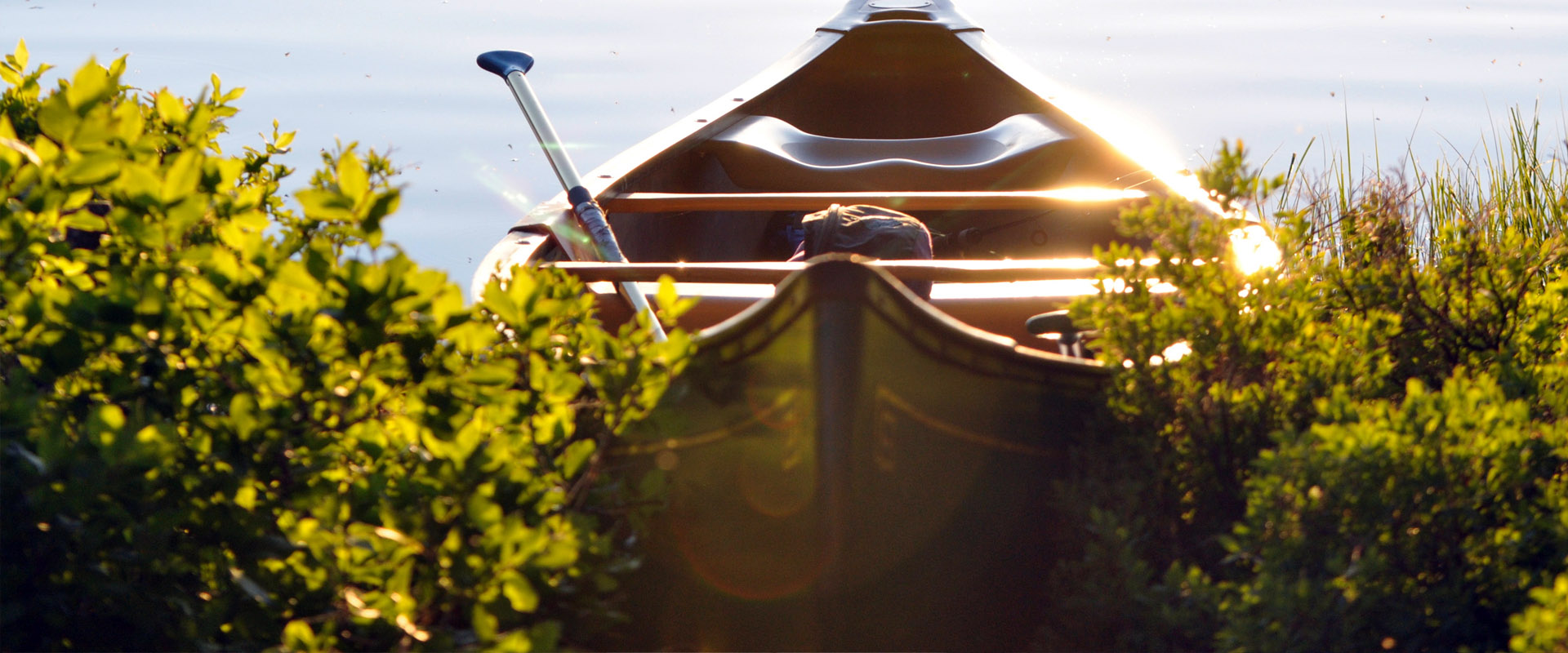 在线呼叫网页版