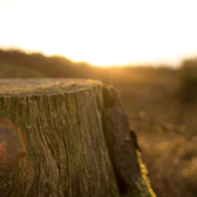 在线呼叫网页版